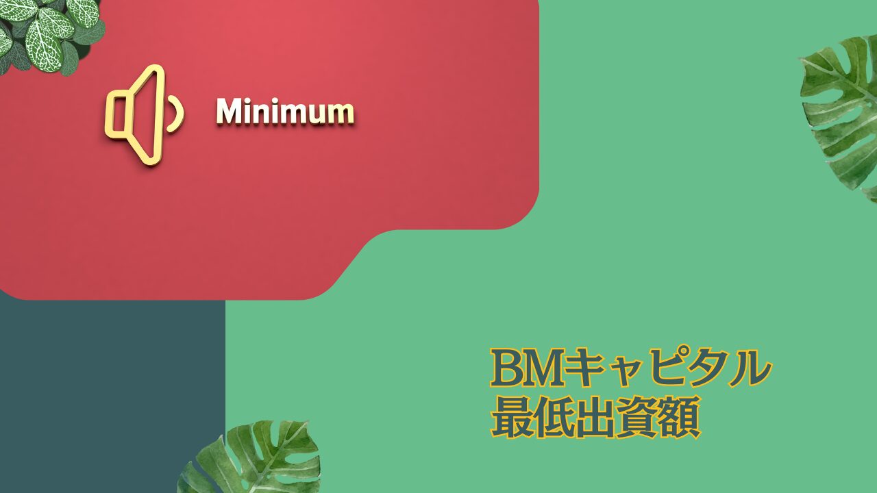 BMキャピタルはいくらから投資できるのか？最低出資額について解説！